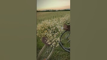 قران الكريم 🌼 #المصحف #الرحمن #اكسبلور #لايك