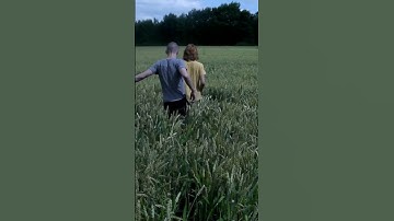 Like Cattle Towards Glow  - Dekkoo - Vertical Clip #Shorts