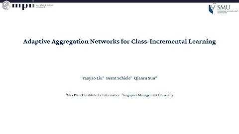 Adaptive Aggregation Networks for Class-Incremental Learning