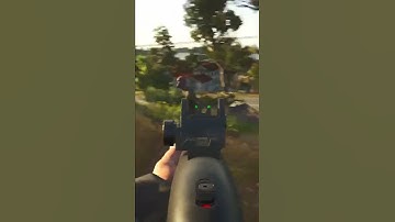 WOLF HUNTING AND PUPPETS DON