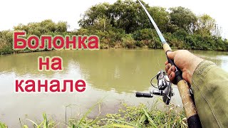 видео: Рыбалка с болонкой на канале когда нигде не клюет. Первый опыт ловли рыбы на болонскую удочку. картинка: Рыбалка с болонкой на канале когда нигде не клюет. Первый опыт ловли рыбы на болонскую удочку.