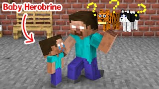 Monster School : Who Took Baby Herobrine's Dog? - Minecraft Animation