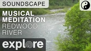 Redwood River Soundscape - Sit Back and Relax