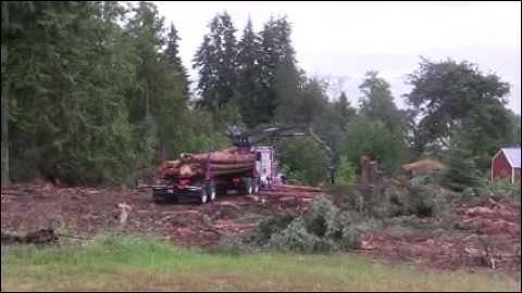 Self-loader loading logs