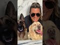 Dog sitter Bologna - prima di tutto sono la loro mamma 🐾