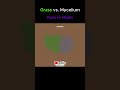 Grass vs. Mycelium: Which spreads faster? | Pasto vs. Micelio:Cuál es más rápido? #minecraft #memes