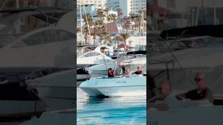 🌅 Dolphins, sunsets & secret Tenerife spots! 🌊 #Tenerife #BoatTrip #Sunset #Dolphins #Travel