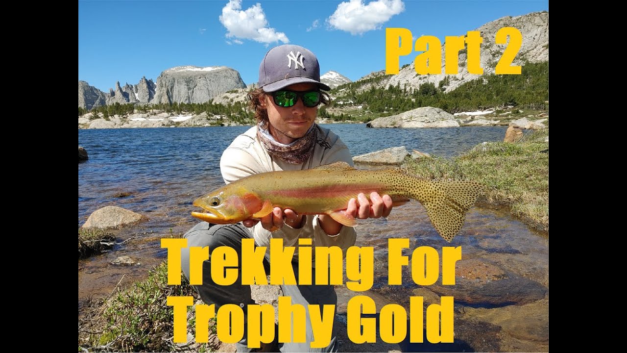Backpacking / Fly fishing in Wyoming in search of big golden trout