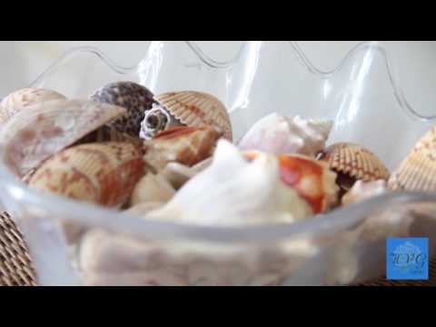 სასტუმრო ვილა გარდენია (ურეკი)