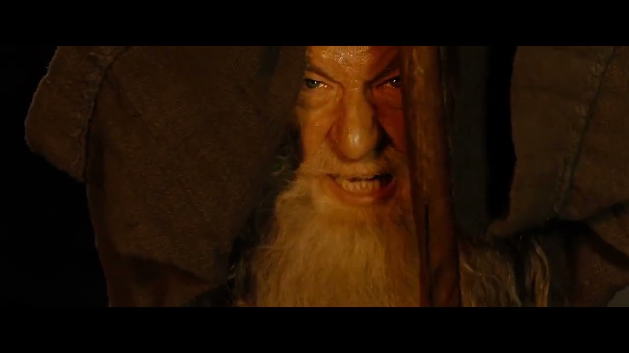 "You shall not pass!" - Gandalf Meme