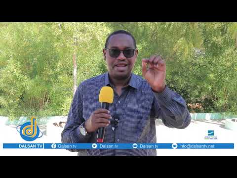 Wasiirka amniga Puntland oo ka hadlay dagaalkii Boosaaso kuna dhawaaqay Xabad joojin deg deg ah