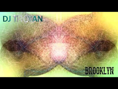 dj-troyan-1703-live-@-brooklyn-part-4