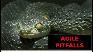 Mistakes during Agile Transformation - Must watch for all executives