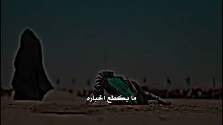 مسرع مشه ولا دار عينه على دياره💔🥀 تشابيه واقعة الطف ستوريات حسينينه 💔🥀