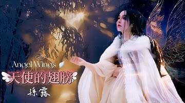 天使的翅膀 #孫露 Angel Wings /若生命直到這裡 從此沒有我 我會找個天使替我去愛你 /動態歌詞 / English Subtitles