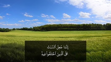 قراءة من سورة النحل من آية 120 إلى آية 128