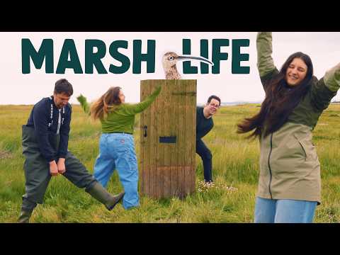 WWT - Marshlife (Parody)