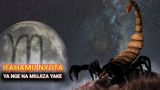 IFAHAMU NYOTA YA NGE NA MVUTO WAKE WA MAPENZI NA KAZI IFAHAMU NYOTA YA NGE NA MVUTO WAKE WA MAPENZI NA KAZI