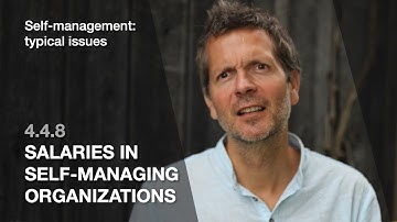 4.4.8 Salaries in self-managing organizations (Self-management: typical issues)
