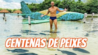 Isso Que É Estrutura De Praia Vanlife Real