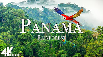 Panama Rainforest 4k - Relaxing Music Along With Beautiful Nature Videos (4K Video Ultra HD) Panama Rainforest 4k - Relaxing Music Along With Beautiful Nature Videos (4K Video Ultra HD)