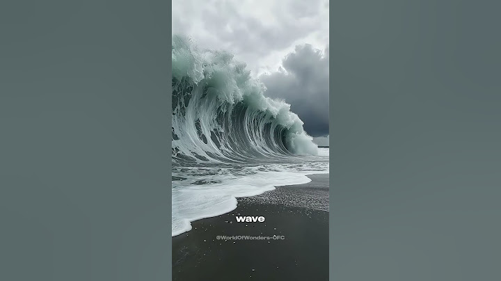 The Deadliest Tsunami What Really Happened in 2004