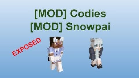 EXPOSING CORRUPT HYPIXEL MODS - CHECK DESC