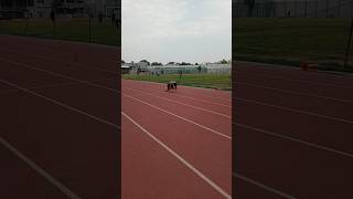 Block start and acceleration #athletics #trackandfield