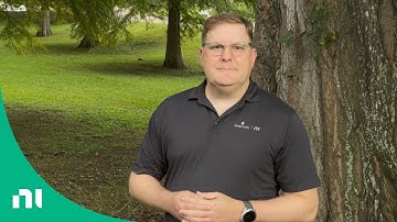 Reimagining Test Engineering with AI: Insights from LabVIEW and Beyond