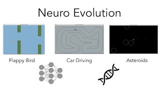 Neuro Evolution Project