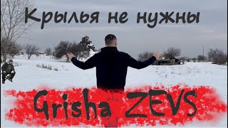 Grisha Zevs - Крылья не нужны