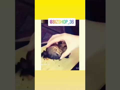 سرم سیر سیاه لاکچری کوین تغذیه ی سالم مو به قطع ریزش مو و دیابت وفشار خون وچربی سوز