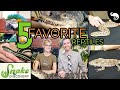 Top 5 Pet Reptiles - Snake Discovery