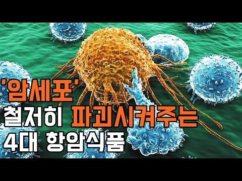 베타글루칸 추천