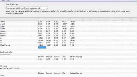 Conduct a discriminant validity assessment with WarpPLS