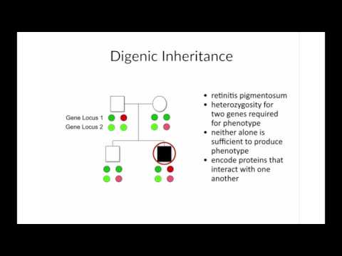 "Non-Mendelian Inheritance Patterns" by Bruce Korf for OPENPediatrics