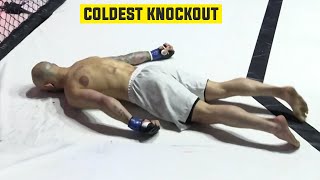 Top 30 Most Brutal MMA Knockouts | MMA, Craziest Knockouts