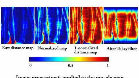 Fast Data-Driven Skin Deformation