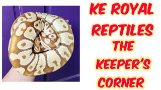 The Keeper's Corner ep30 - KE Royal Reptiles
