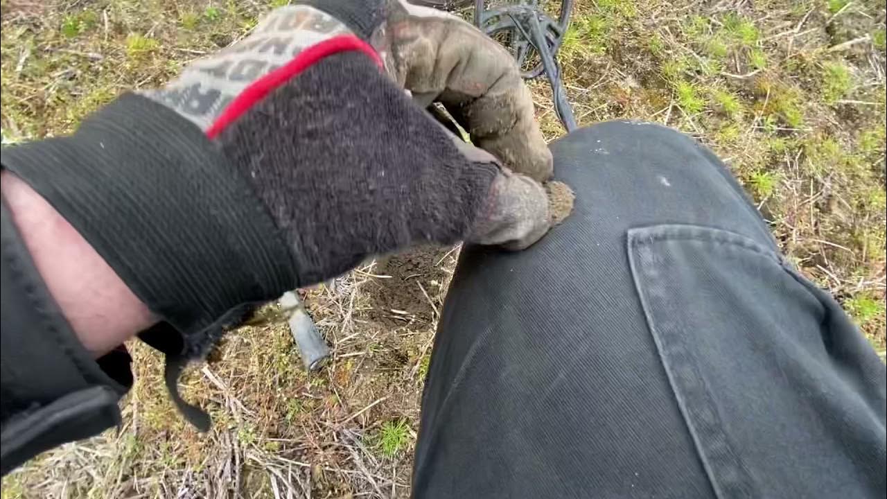 Metal Detecting North Carolina, Civil War Bullets Everywhere! YouTube