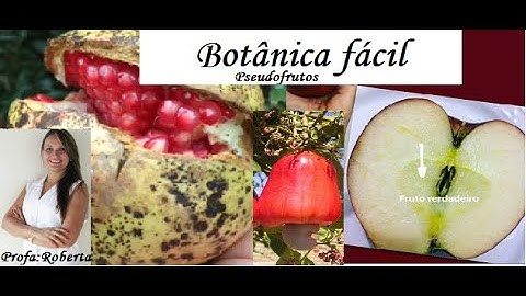Pseudofrutos. Caju, maçã, romã. Botânica.