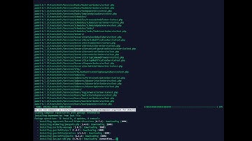 Pterodactyl Installation Script: panel installation w/ progress bar on Ubuntu 18.04