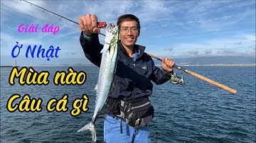Giải Đáp Ở Nhật mùa nào câu cá gì, câu bằng mồi gì | Gia Đình Cá Tráp | Câu Cá Ở Nhật Bản
