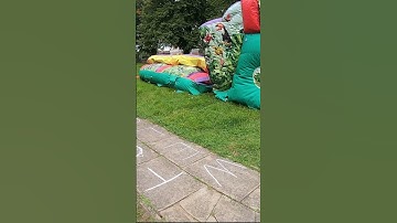 Jungle 🦁🐯 Obstacle Course  #bouncy #bouncyhouse #obstaclecourse  #fun