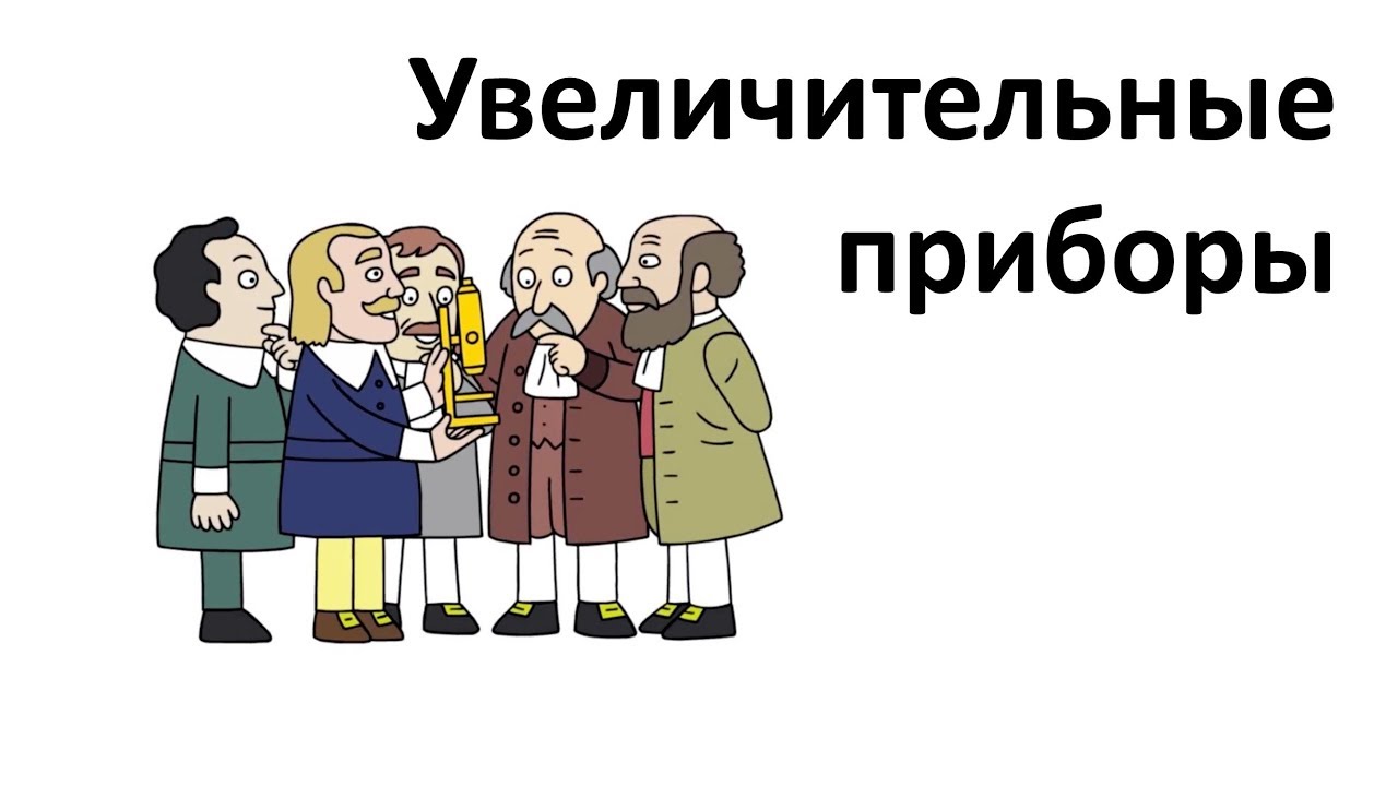 ⁣4. Увеличительные приборы (5 класс) - введение в Биологию