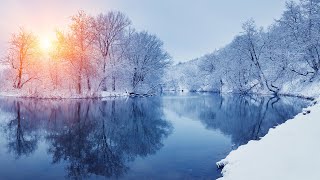 Relaxing music with beautiful winter nature. Soothing music for the nervous system in cold winter by Love YourSelf 1 month ago 3 hours, 23 minutes 11,468 views