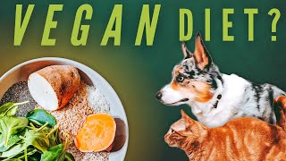 The Truth About Vegan Pet Food