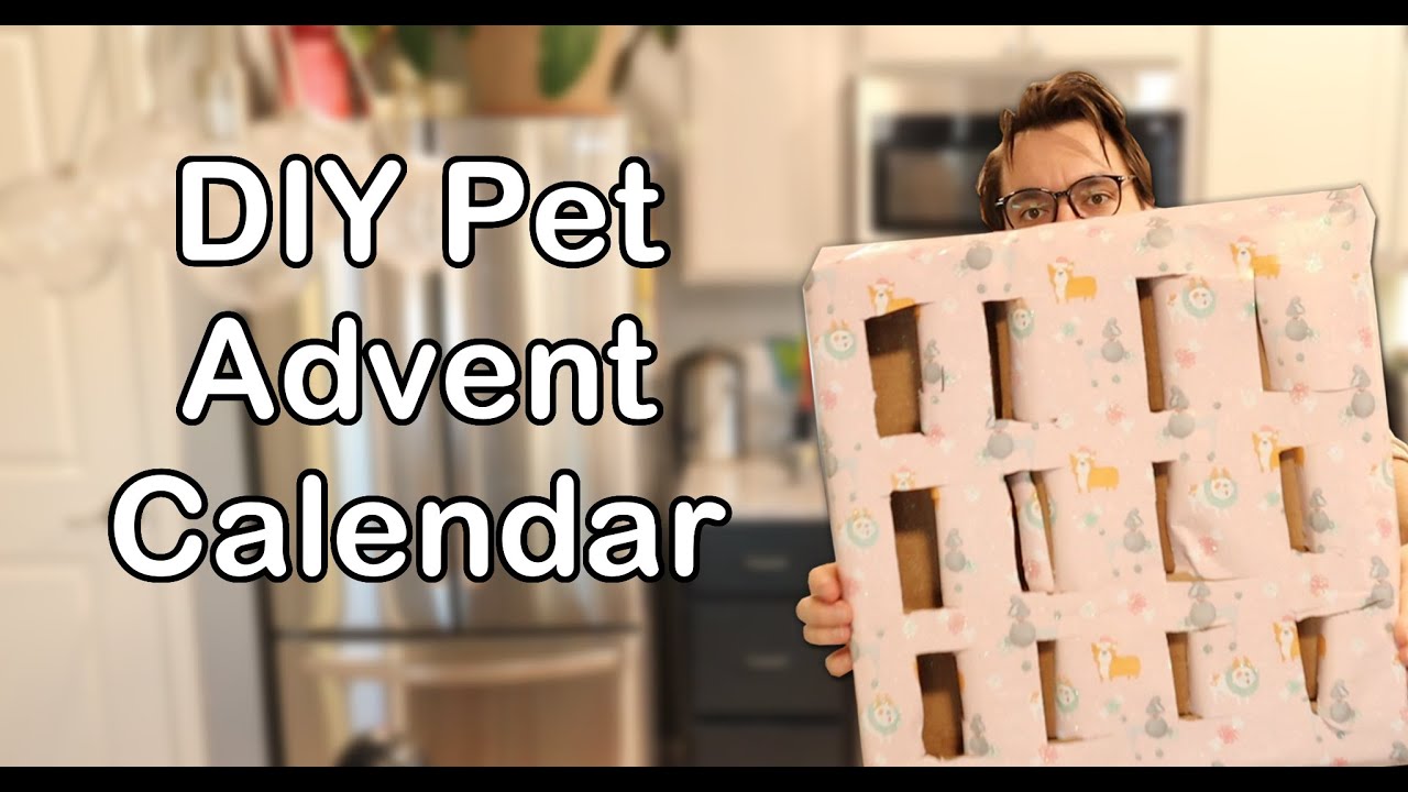 DIY Cat Advent Calendar YouTube diy-cat-advent-calendar-youtube
