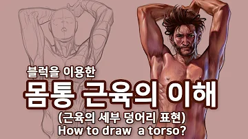 남성 몸통 그리기 블럭을 이용한 근육 이해 How To Draw A Torso 오쌤인체해부학 Anatomy Teacher O 