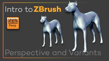 Intro to ZBrush 012 - Perspective, Cameras, and the Draw Menu! Also head variants!!